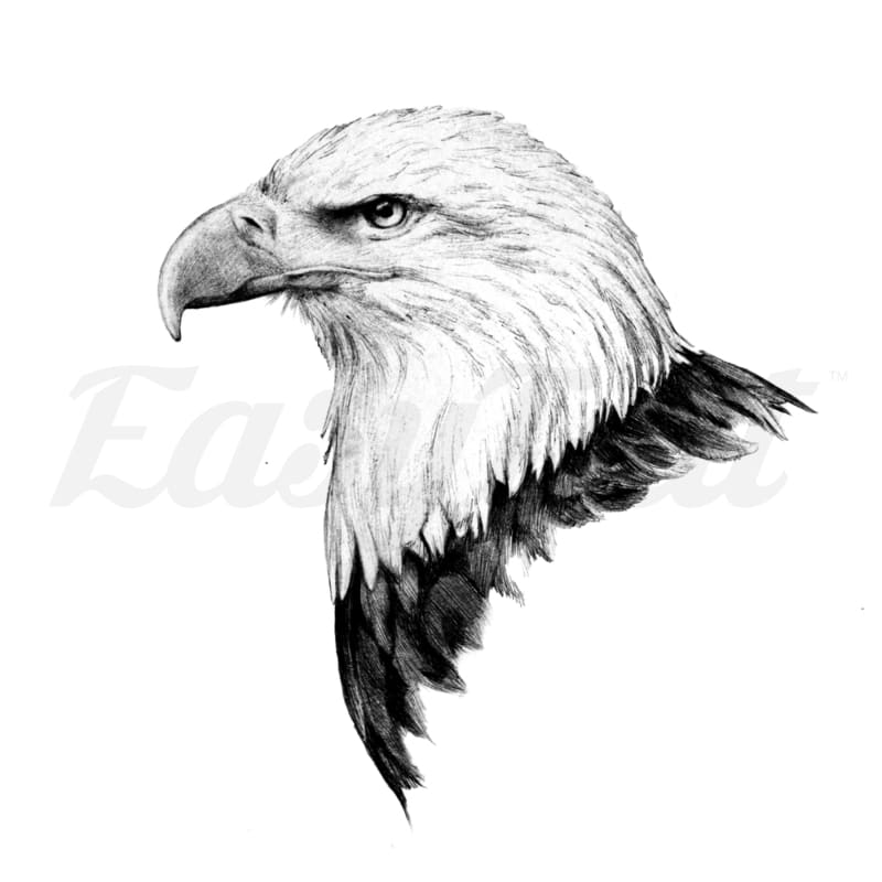 Bald Eagle - Temporary Tattoo