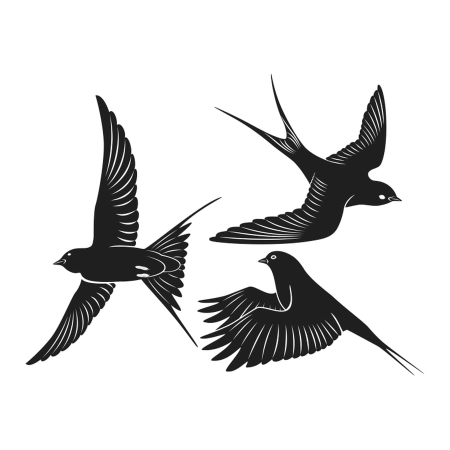Bird Trio #2 - Temporary Tattoo