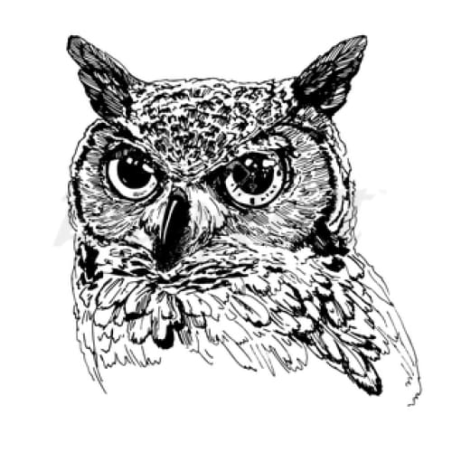 Black and Grey Owl - Temporary Tattoo
