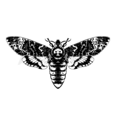 Death Face Moth - Temporary Tattoo