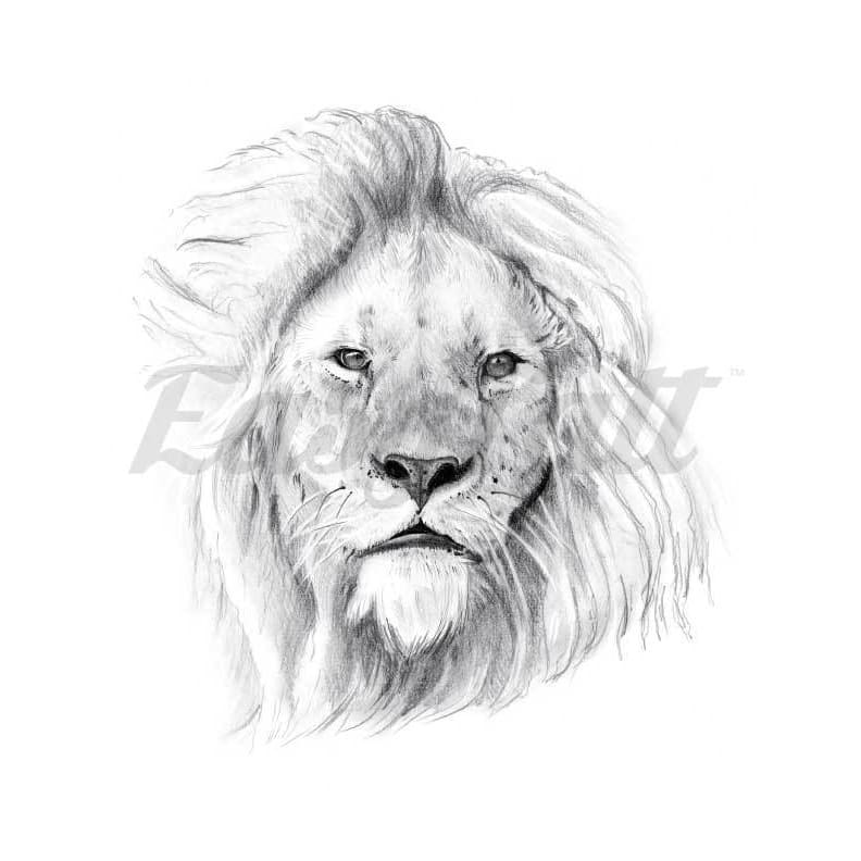 Majestic Lion Front - Temporary Tattoo