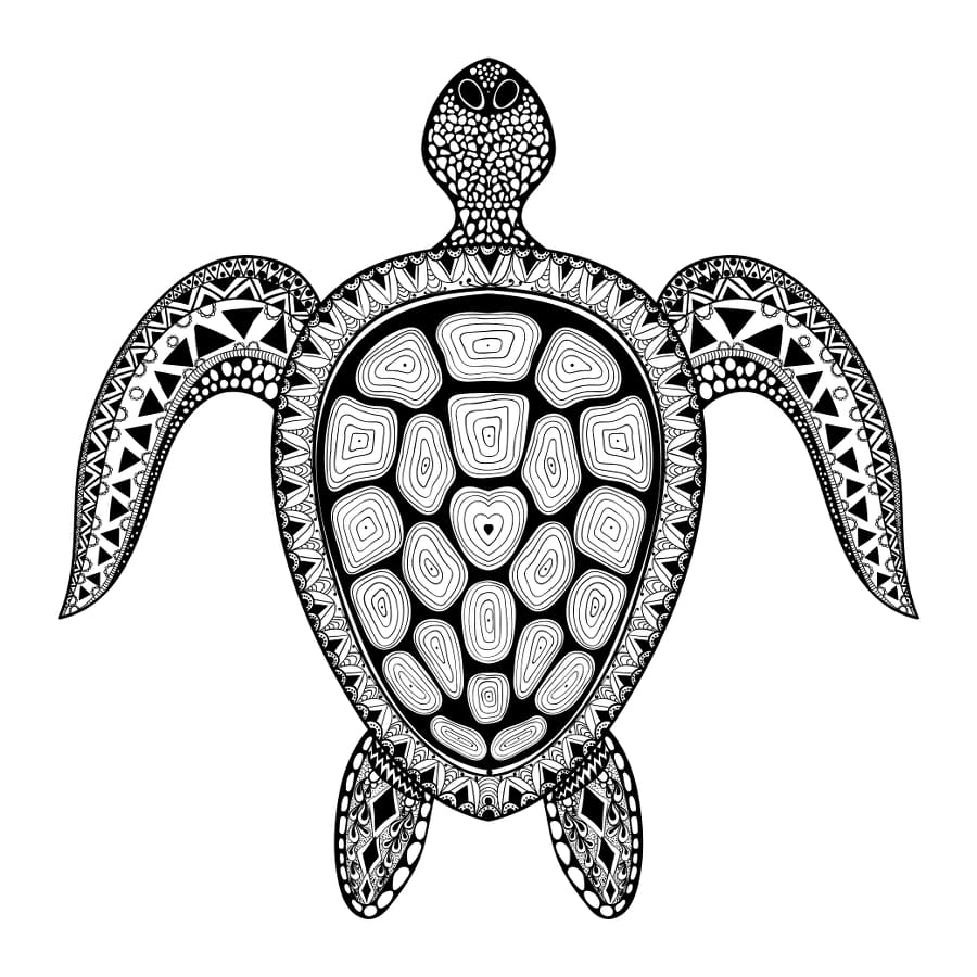Turtle - Temporary Tattoo